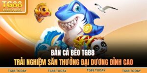 bắn cá béo
